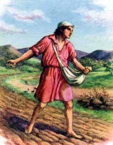 man scattering seed in a field