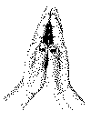 Hands clasped in prayer