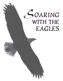 On Eagles wings