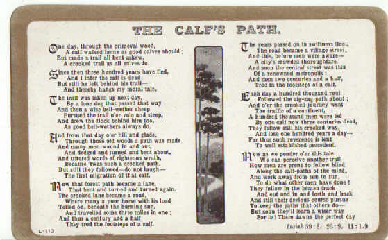 postcard The calf's path
