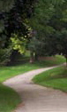 a narrow pathway in a park