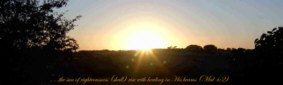 son of righteousness with beams in his wings