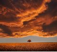 red clouds
