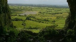 picture of hedges in the countryside