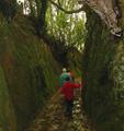 Trenches today with people walking