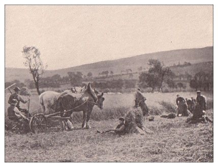 a picture of farming in the past with horses and carts