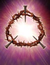 crown of thorns