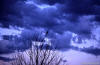 The dark of the night