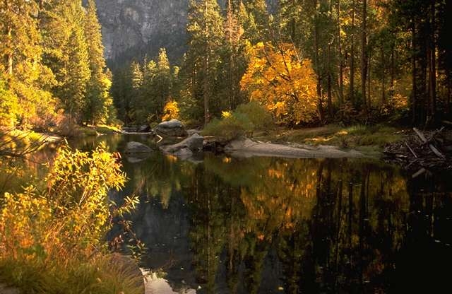  trees in autumn across the lake