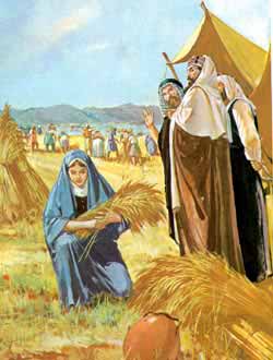 Ruth gathering the wheat