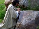 Jesus praying in the garden at Gethsemane