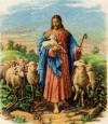 Jesus the shepherd
